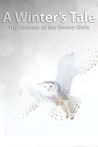 A Winter's Tale: The Journey of the Snowy Owls (2014)