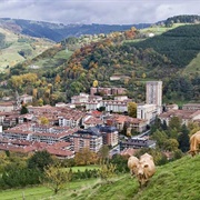Bergara