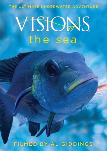 Visions of the Sea (2009)