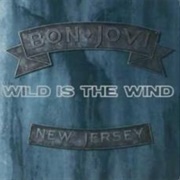 Wild Is the Wind