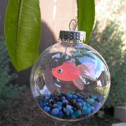 Aquarium Ornament
