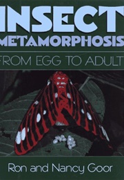 Insect Metamorphosis: From Egg to Adult (Ron &amp; Nancy Goor)