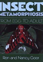 Insect Metamorphosis: From Egg to Adult (Ron & Nancy Goor)