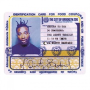 Ol' Dirty Bastard (Return to the 36 Chambers: The Dirty Version, 1995)