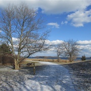 Webb Memorial State Park, Massachusetts