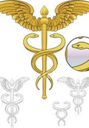 Percy Jackson and the Staff of Hermes (Rick Riordan)