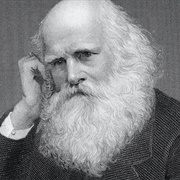 Catterskill Falls by William Cullen Bryant