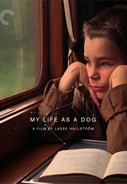 My Life as a Dog (1985)