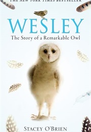 Wesley the Owl (Stacey O&#39;Brien)
