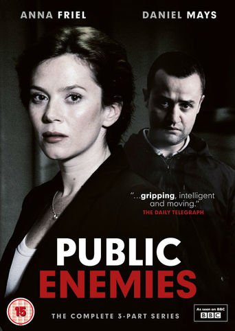 Public Enemies (2012)