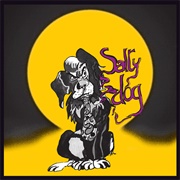 Salty Dog