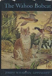 The Wahoo Bobcat (Joseph Wharton Lippincott)