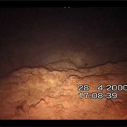 Fatal Diving Accident