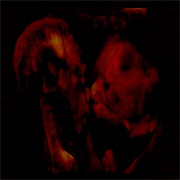 Bad Batch of Acid - Sex Tapes From Hell