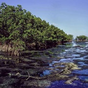 Biscayne National Park (Florida)
