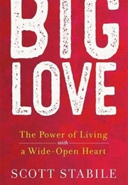 Big Love (Scott Stabile)