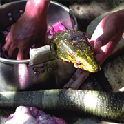 Northern Sierra Madre Forest Monitor