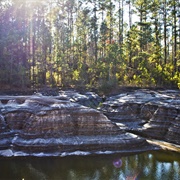 White Oak Lake State Park, Arkansas