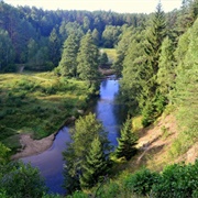 Dzūkija National Park