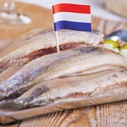 Hollandse Nieuwe ( Holland )