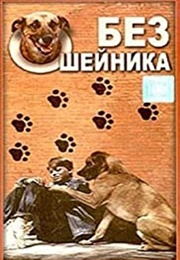 Without a Collar (1995)