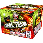 Seal Team