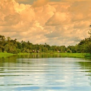 Taking a Boat Up the Amazon River
