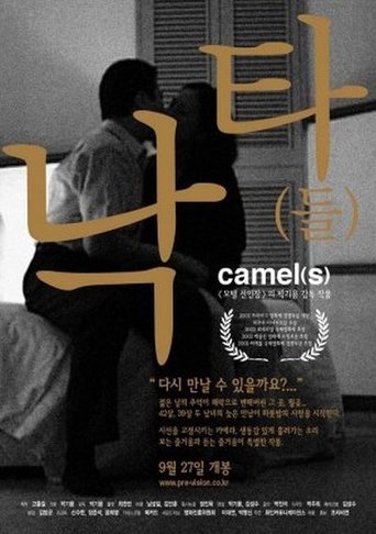 Camel(S) (2002)