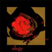 Elegy - John Zorn