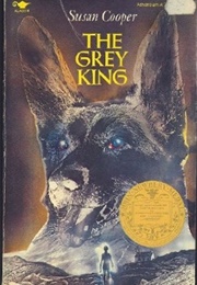 The Grey King (Susan Cooper)