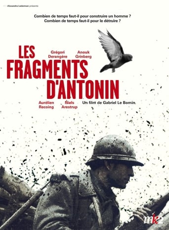 Les Fragments D&#39;Antonin (2006)