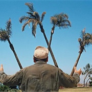 The Big "W"-It's a Mad, Mad, Mad, Mad World