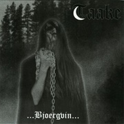 Taake - ...Bjoergvin...