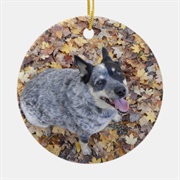 Australian Stumpy Tail Cattle Dog Ornament