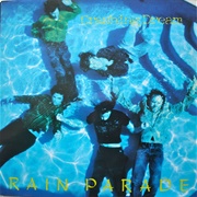 Rain Parade-Crashing Dream