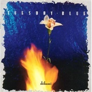 Tuesday Blue- Shibumi