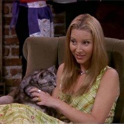 4 - The One With the Cat