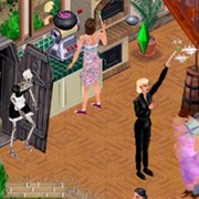 The Sims