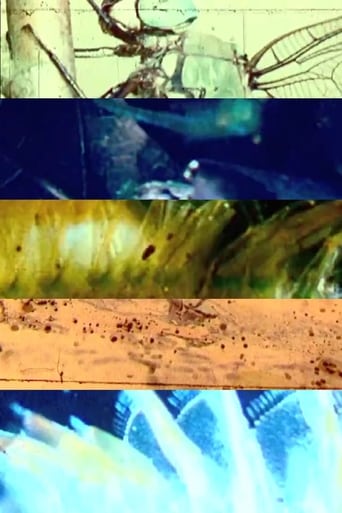 Dragonflies With Birds and Snake (2012)