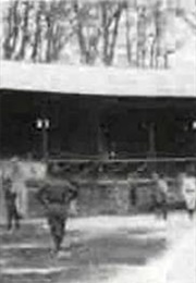 The Ball Game (1898)