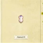 Flatworm