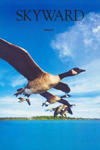 Skyward (1985)