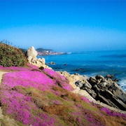 Monterey Bay, USA