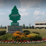 Little Trees Air Fresheners