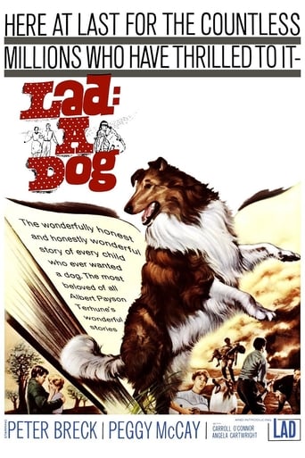 Lad: A Dog (1962)