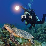 Deep-Sea Exploration