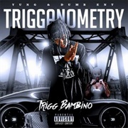 Trigg Bambino