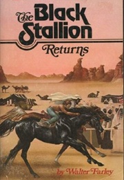 The Black Stallion Returns (Walter Farley)
