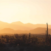 Desert Sunrise