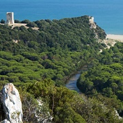 Parco Regionale Della Maremma